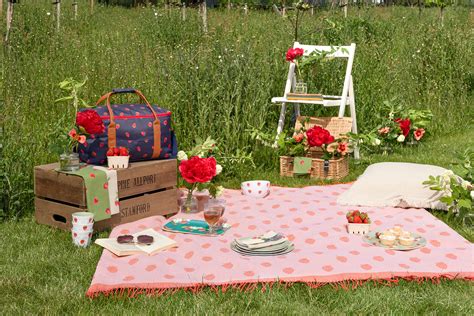 picnic meaning.